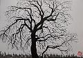 encre de chine_0010